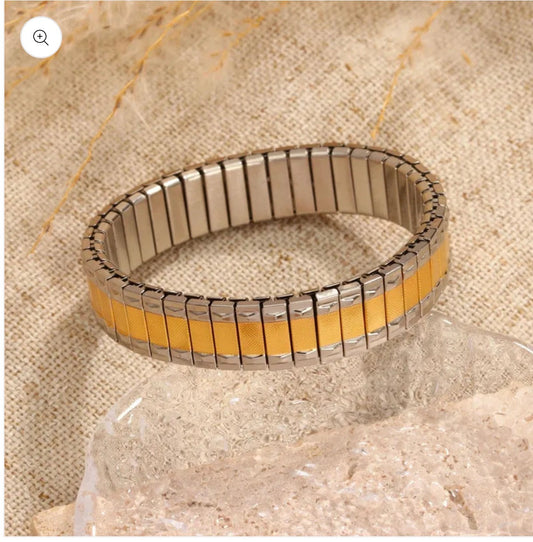 P221 acero inoxidable