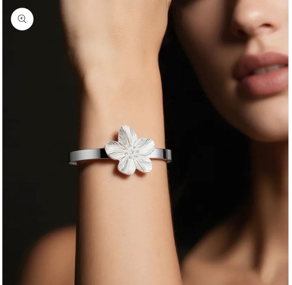 P223 acero inoxidable